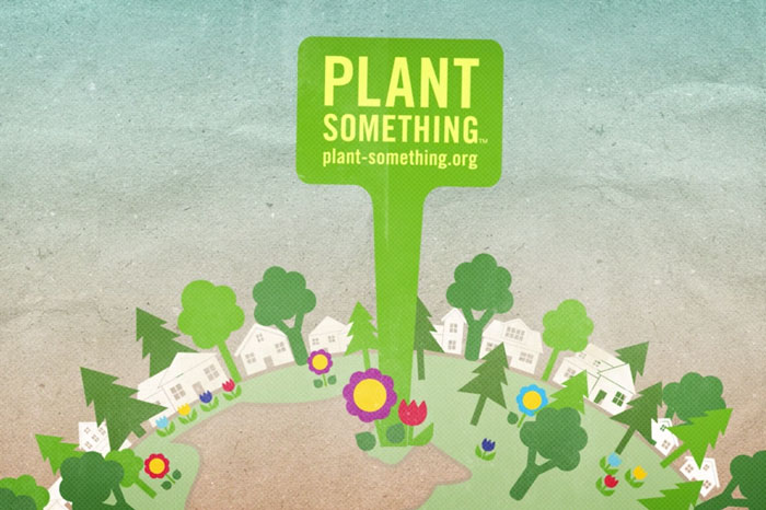 Without Plants video